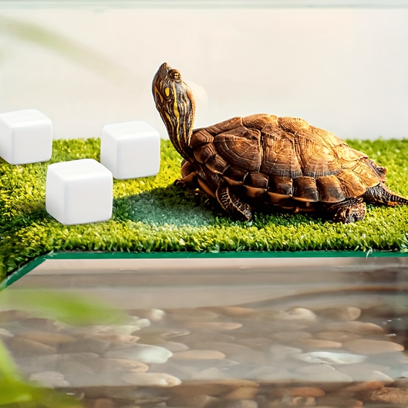 6Pcs For Reptile Grinding Tort - Calcium Powder Reptile recensione e prezzo