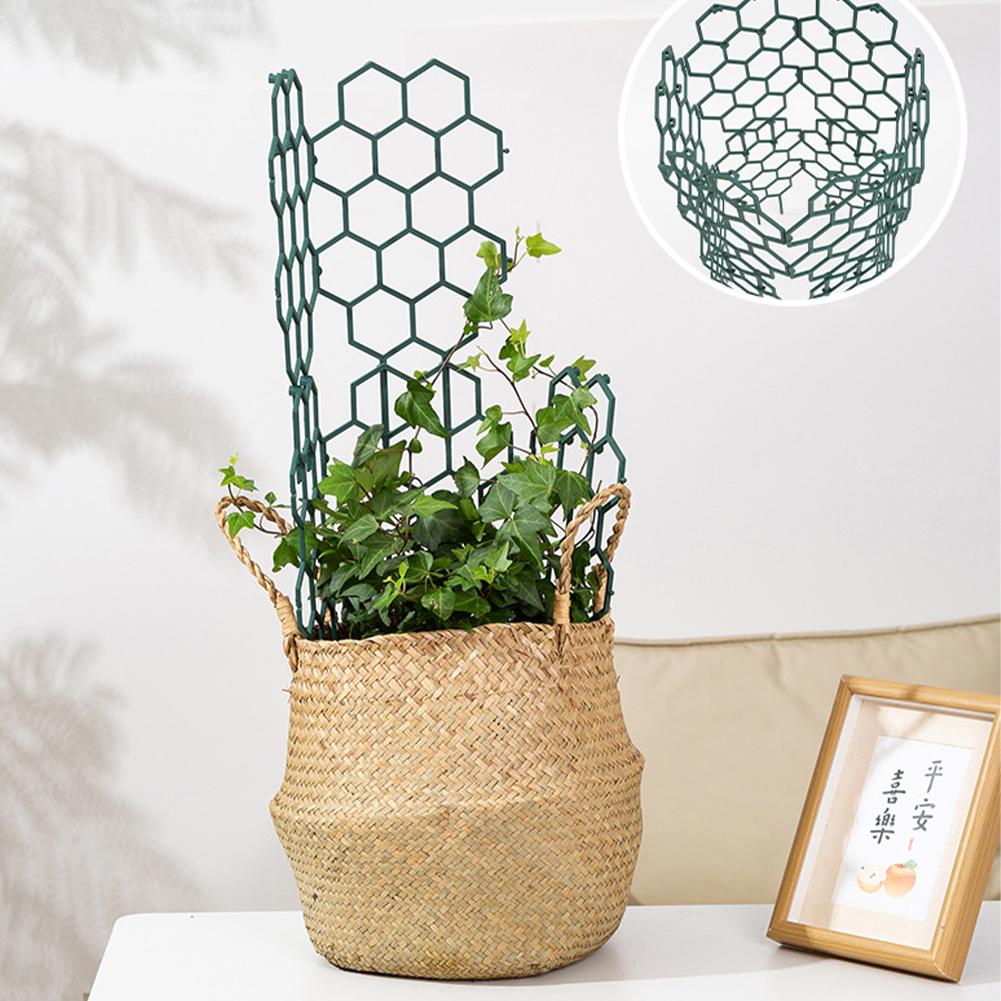 3/5Pcs Plastic Plant Support F - Vine Climbing Plastic recensione e prezzo