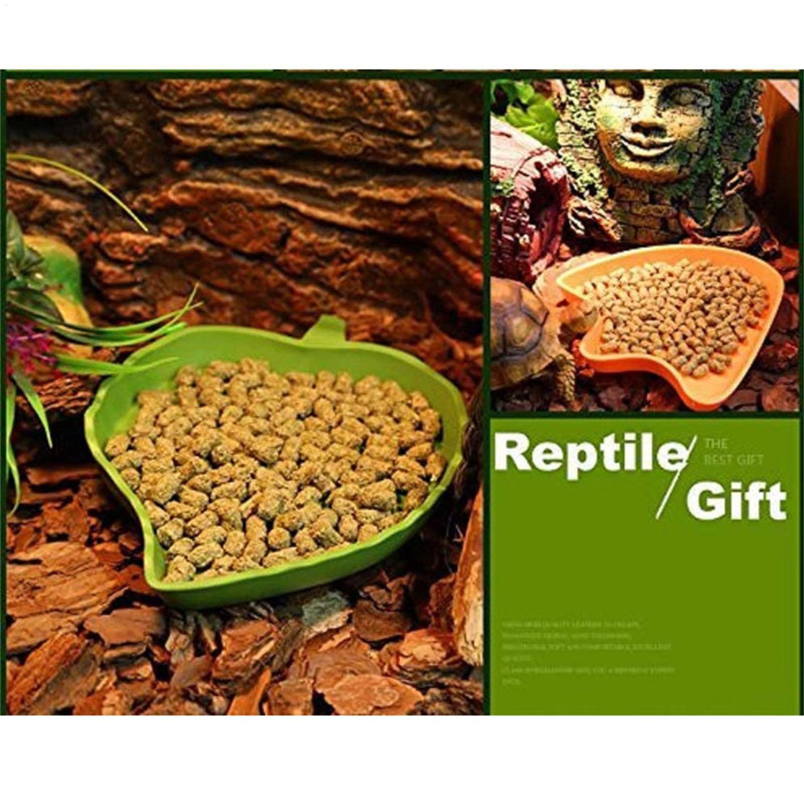 Turtle Feeding Bowl Reptile Fe - Water Dish Reptile recensione e prezzo