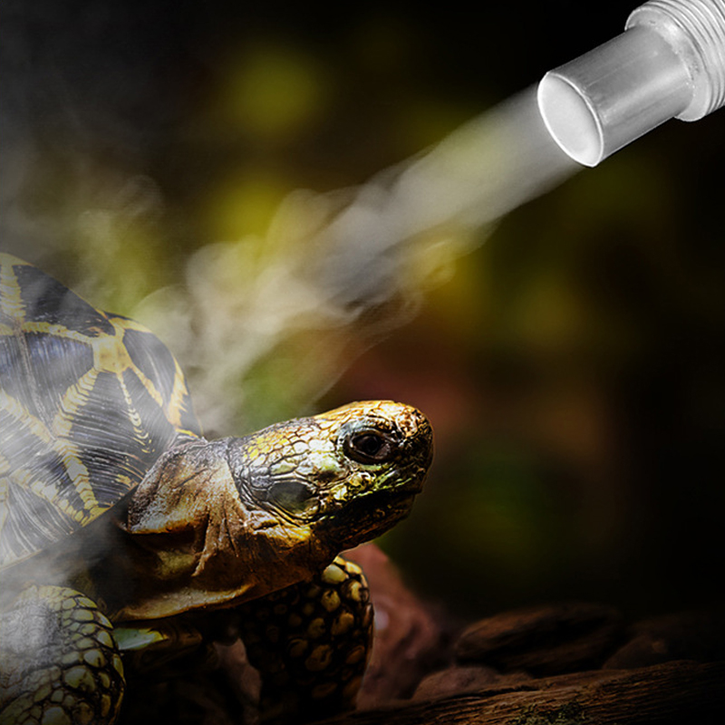 4L Reptile Terrariums Humidifi - Terrarium Fogger Ultrasonic recensione e prezzo