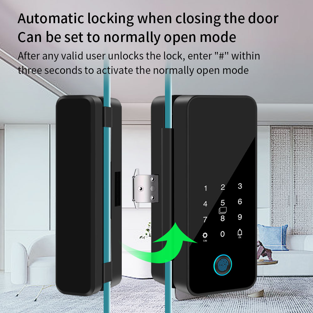 B16 Tuya APP Bluetooth Glass D - Glass Door Hinge recensione e prezzo