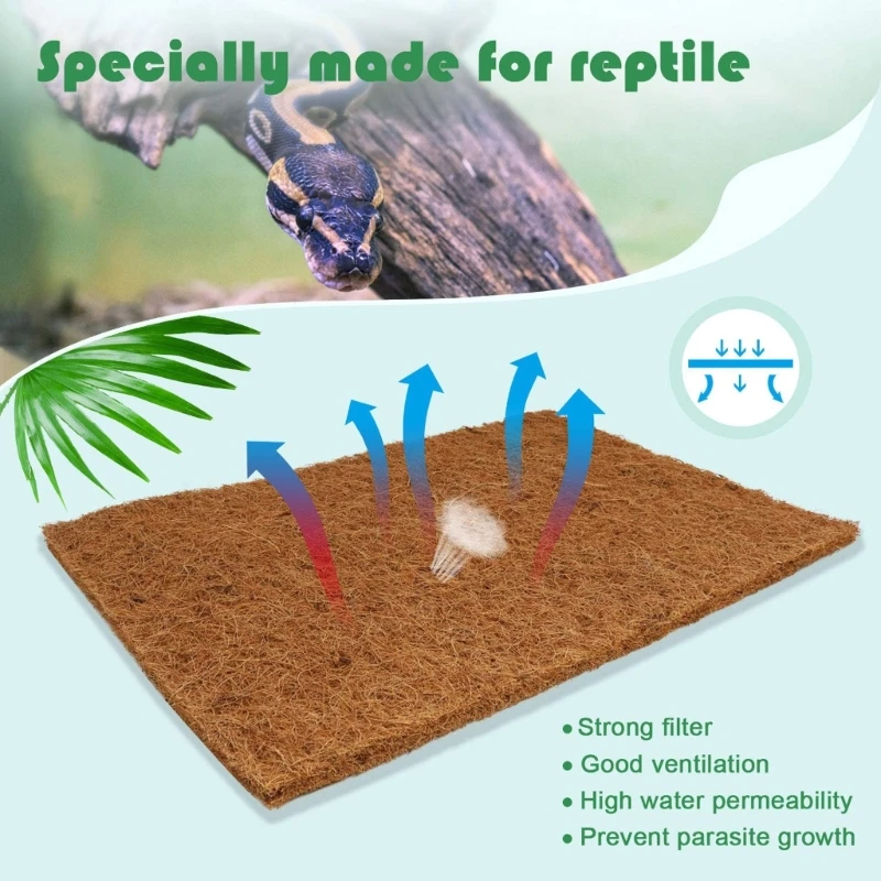 Pack Of 4 Natural Coconut Fibe - Substrate Coconut Fiber recensione e prezzo