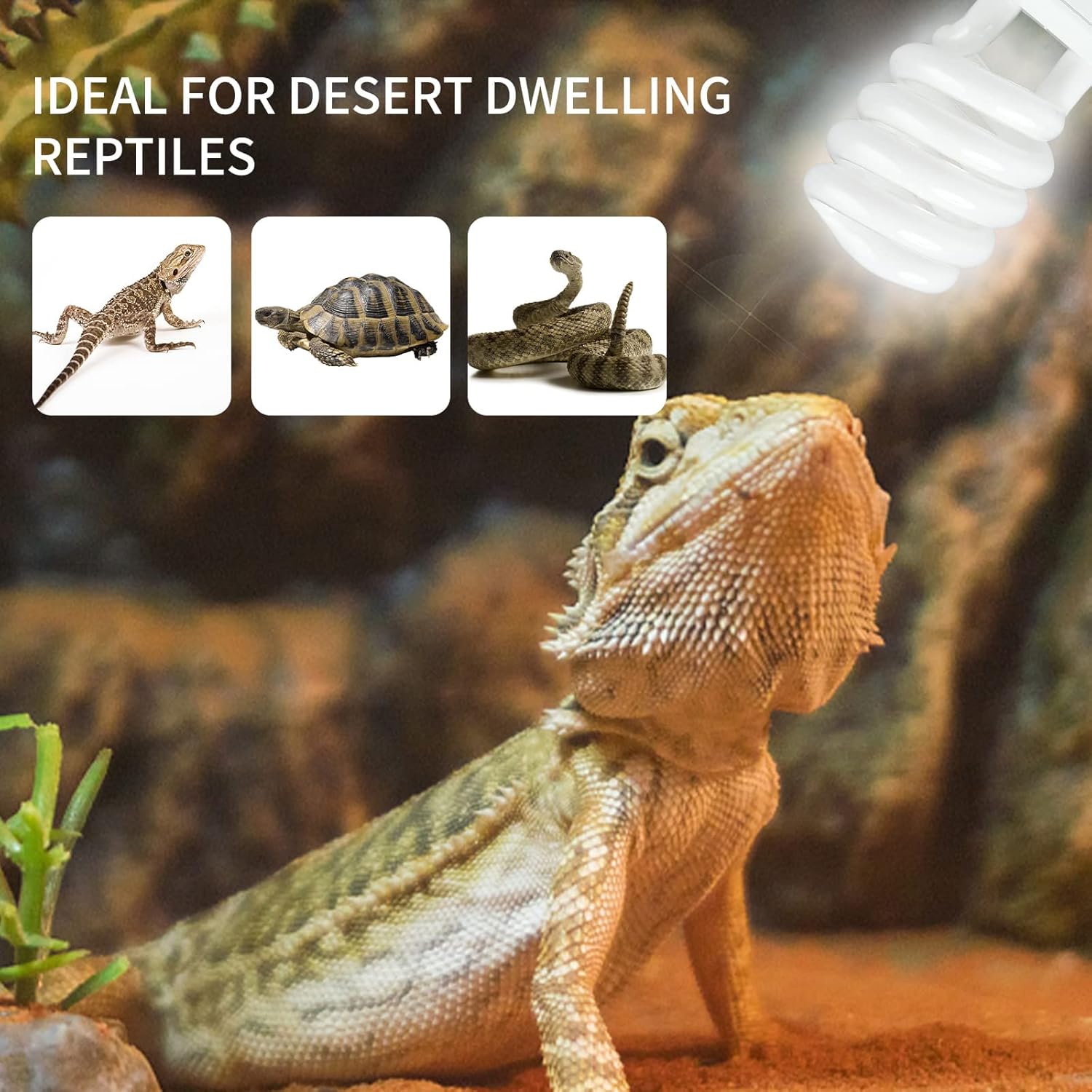 UVB 5.0 10.0 Reptile Heating L - Calcium Powder Reptile recensione e prezzo
