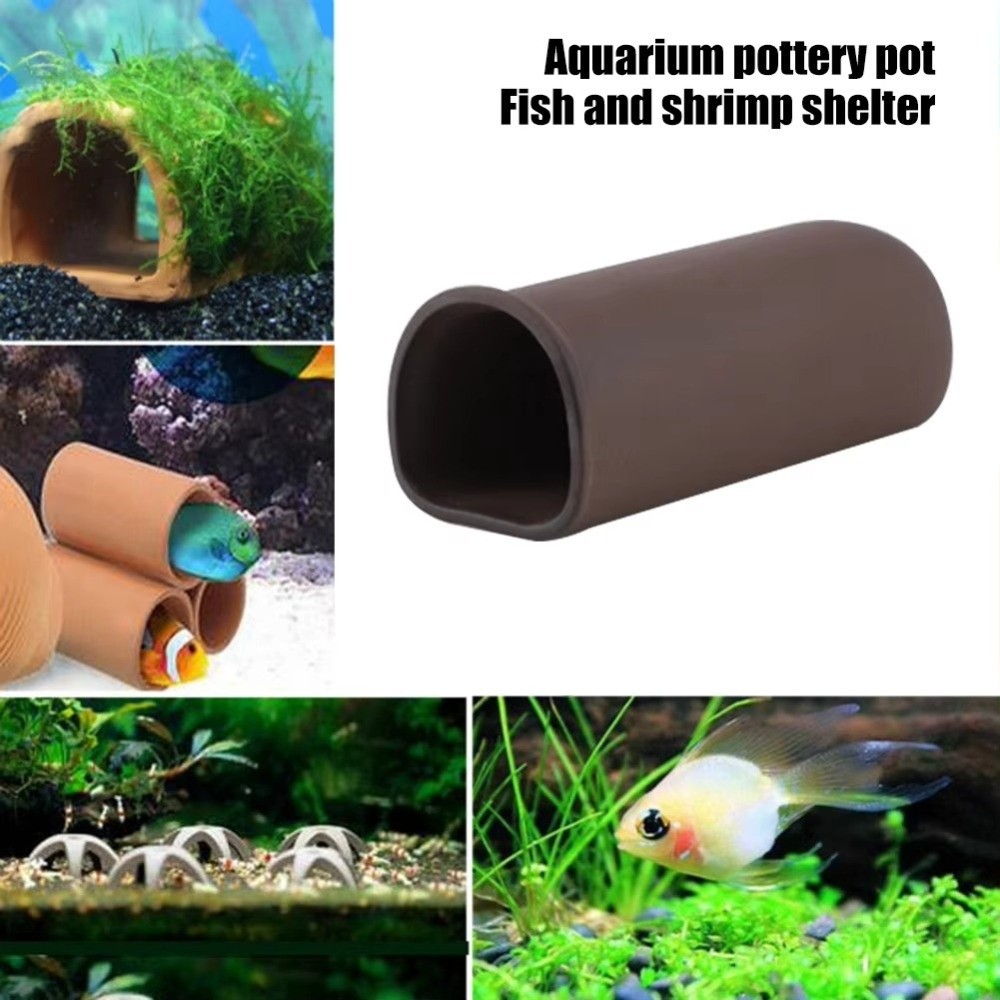 Playing Breeding Spawning Aqua - Hide Cave Ceramic recensione e prezzo
