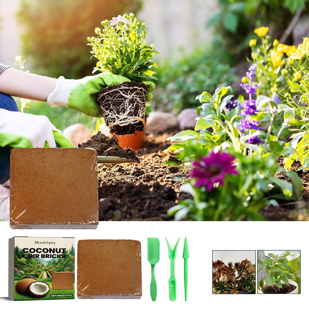 Reptile Coconut Soil Coir Pres - Substrate Coconut Fiber recensione e prezzo