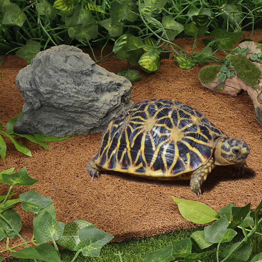 Coconut Fiber Reptile Mat Non- - Substrate Coconut Fiber recensione e prezzo