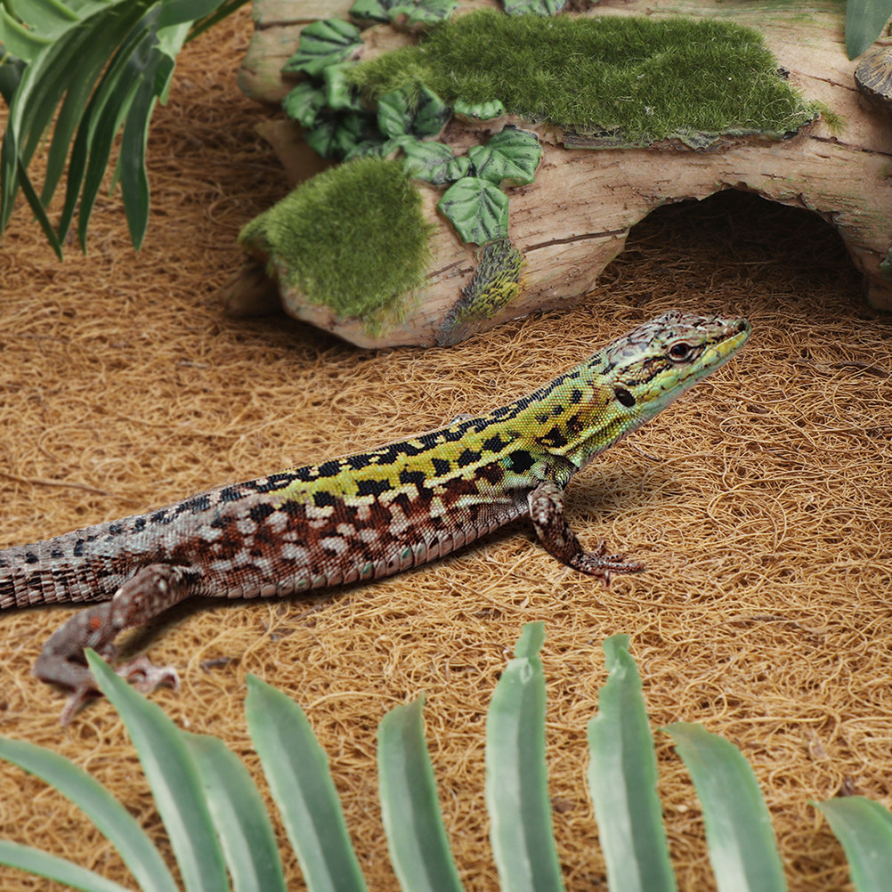 Coconut Fiber Reptile Mat Non- - Substrate Coconut Fiber recensione e prezzo