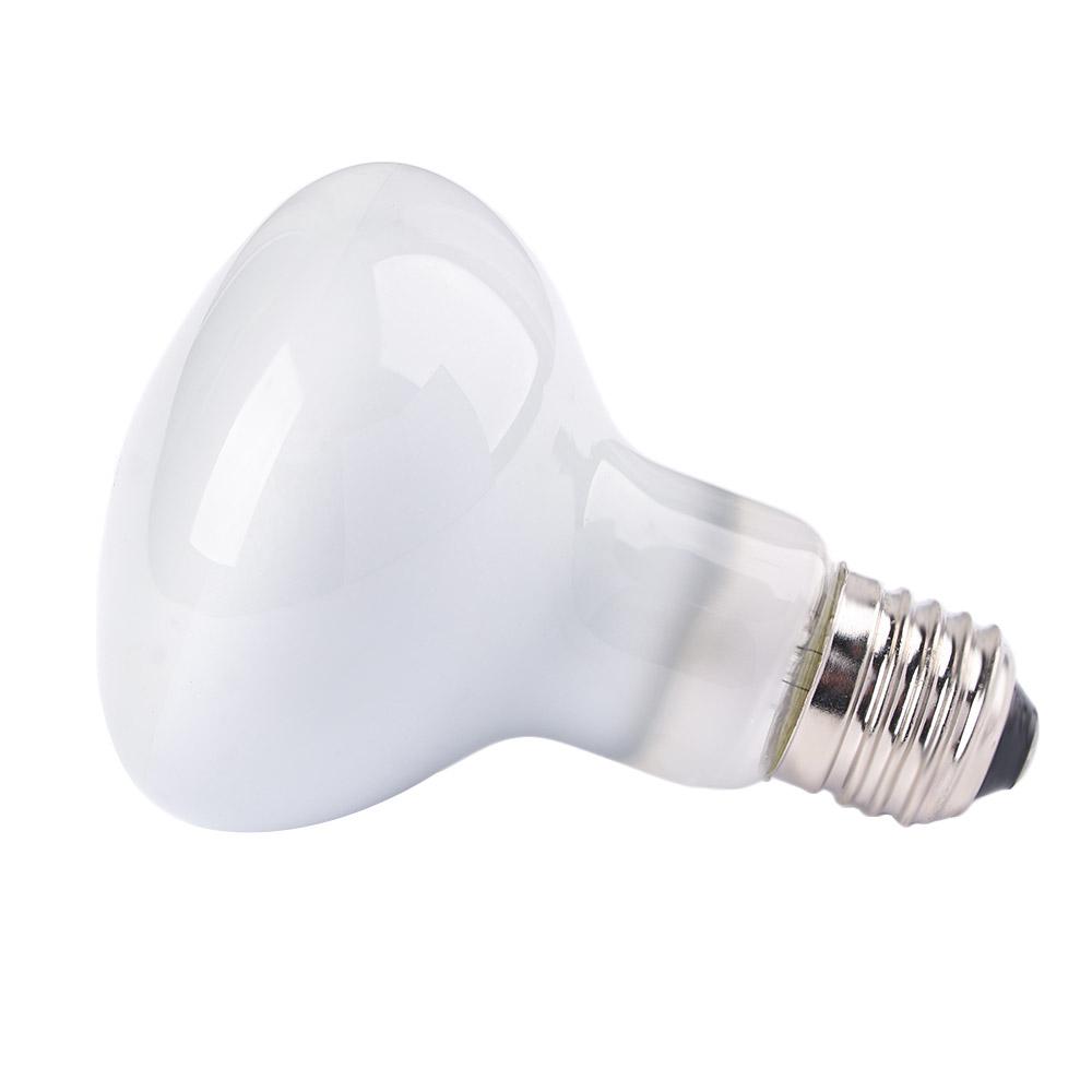 Lizard Temperature Controller  - Basking Bulb Halogen recensione e prezzo