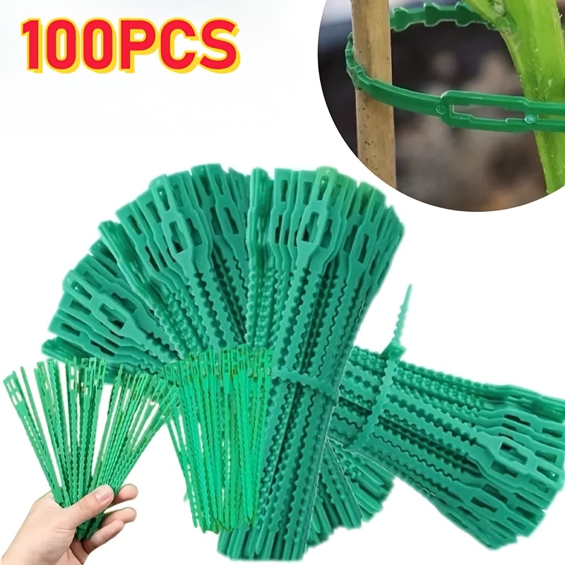 100PCS reusable adjustable pla - Vine Climbing Plastic recensione e prezzo