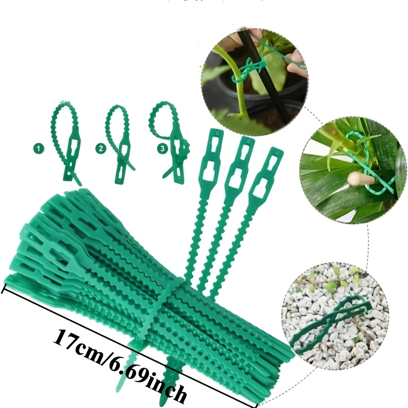100PCS reusable adjustable pla - Vine Climbing Plastic recensione e prezzo