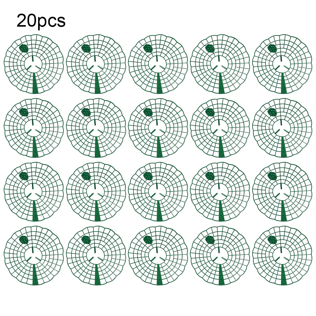 20PCS Strawberry Stand Green C - Vine Climbing Plastic recensione e prezzo