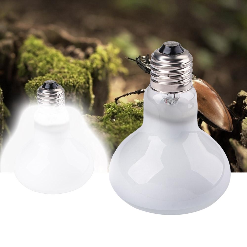 Amphibians Heater Temperature  - Basking Bulb Halogen recensione e prezzo