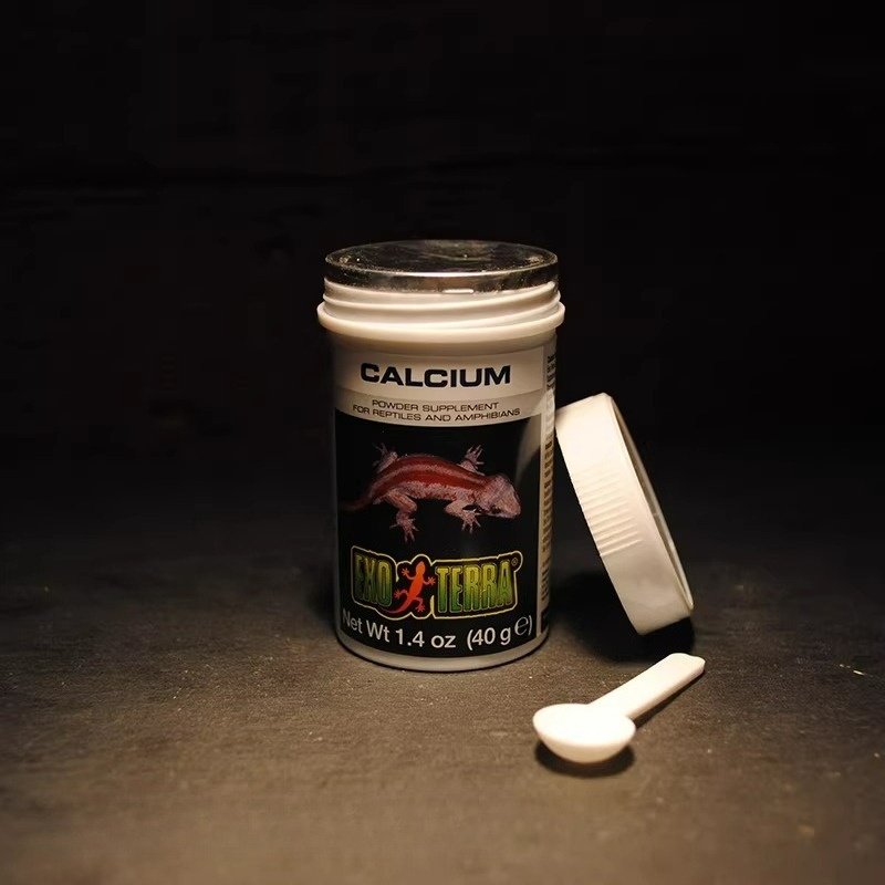 HAGEN Reptile Calcium Powder W - Calcium Powder Reptile recensione e prezzo