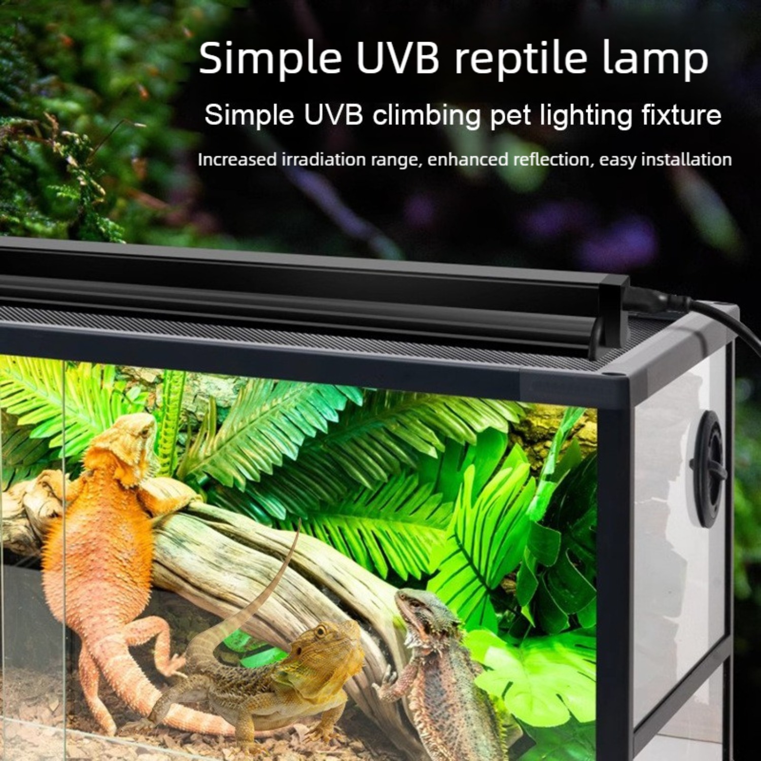 Reptile UVB Lamp Combo Kit UVA - Calcium Powder Reptile recensione e prezzo