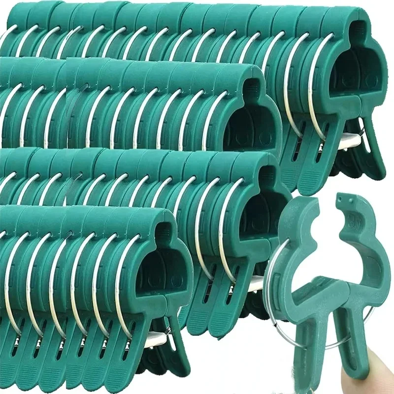 Plant Fixed Clips Reusable Gar - Vine Climbing Plastic recensione e prezzo