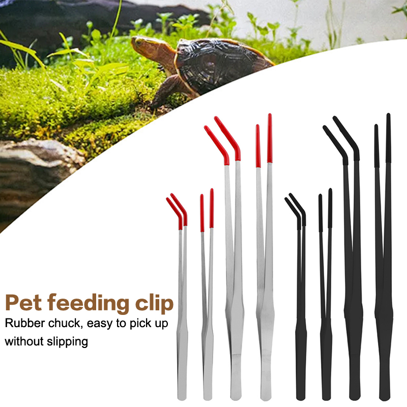 Stainless Steel Fish Tank Main - Feeding Tong Stainless recensione e prezzo