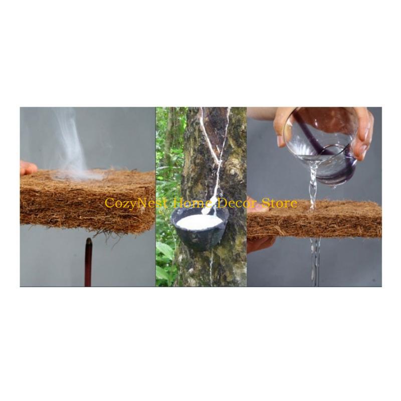 92MF Terrariums Substrate Line - Substrate Coconut Fiber recensione e prezzo
