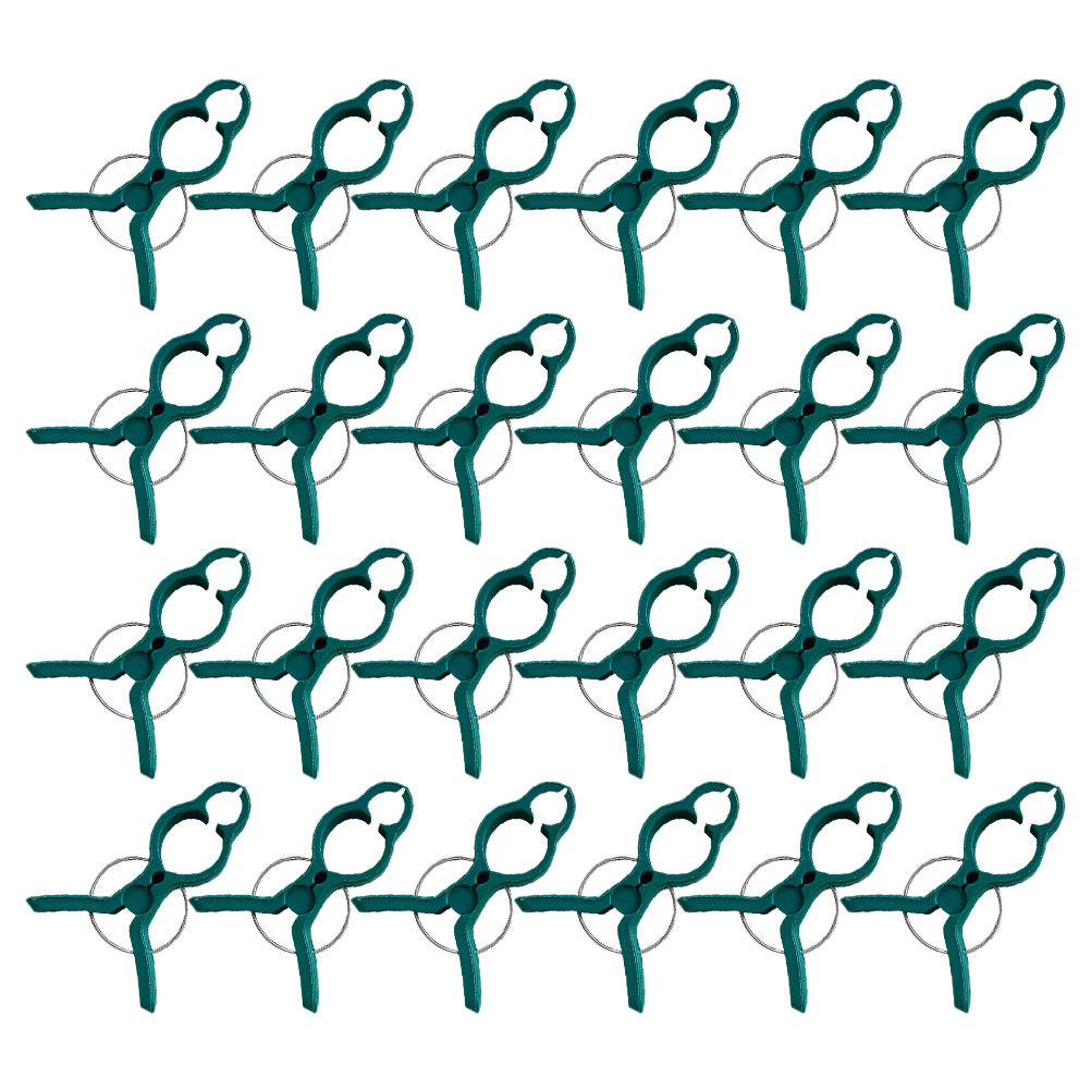 50Pcs Tomato Stem Support Clip - Vine Climbing Plastic recensione e prezzo