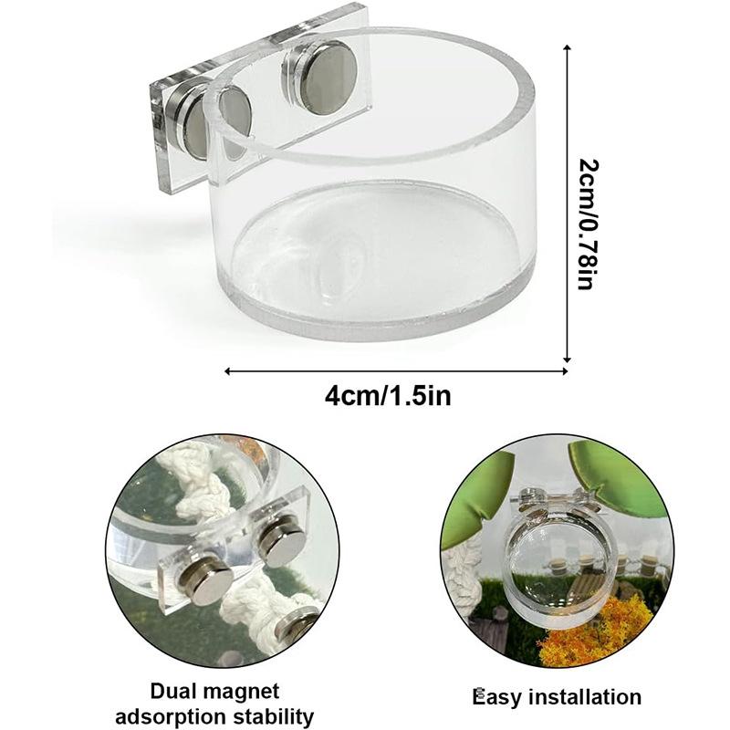 New Reptile Feeding Dish Set M - Water Dish Reptile recensione e prezzo