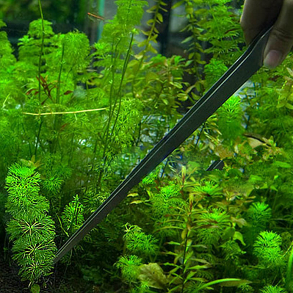 10.5 Inch Reptile Feeding Tong - Feeding Tong Stainless recensione e prezzo