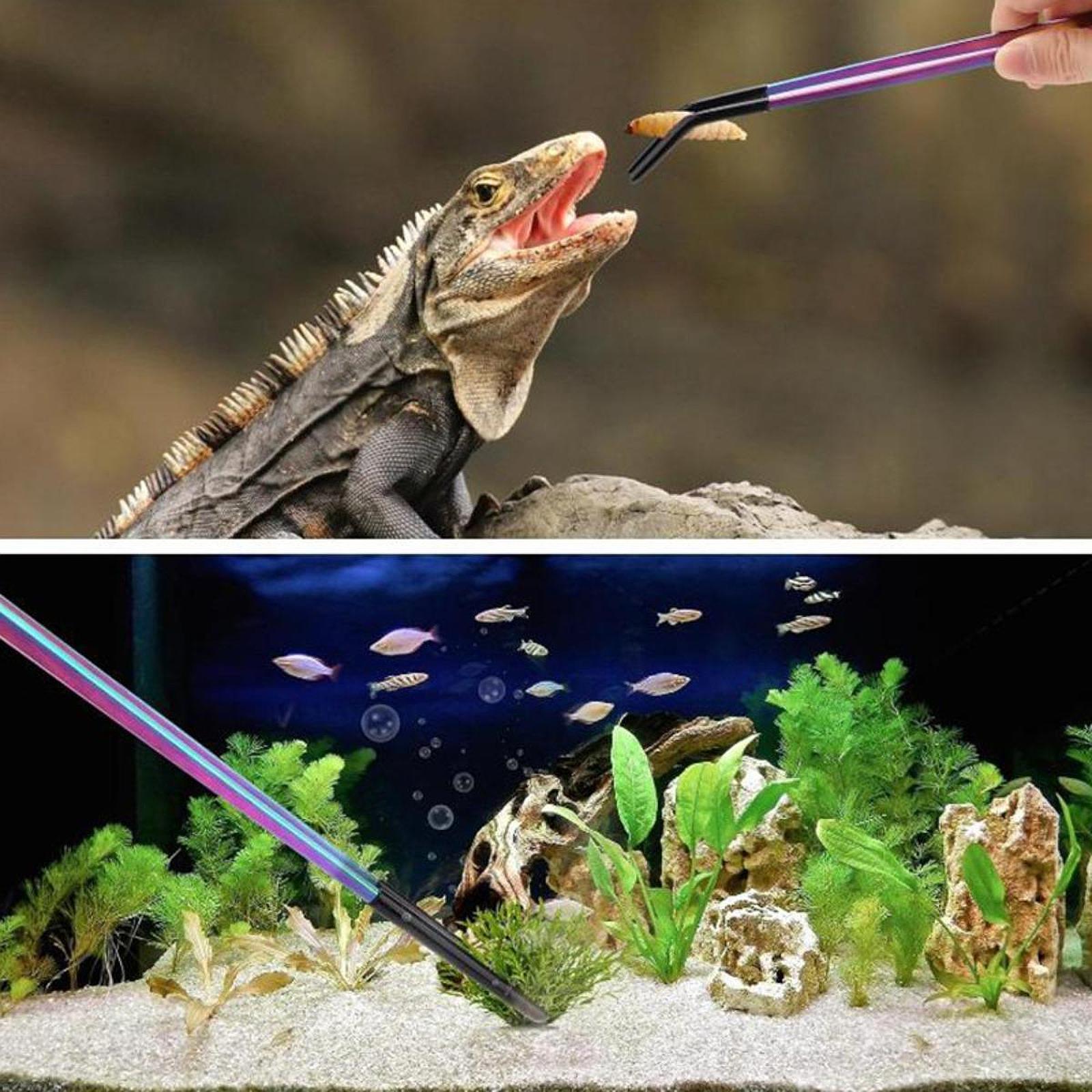 Aquarium Tweezers Reptile Feed - Feeding Tong Stainless recensione e prezzo