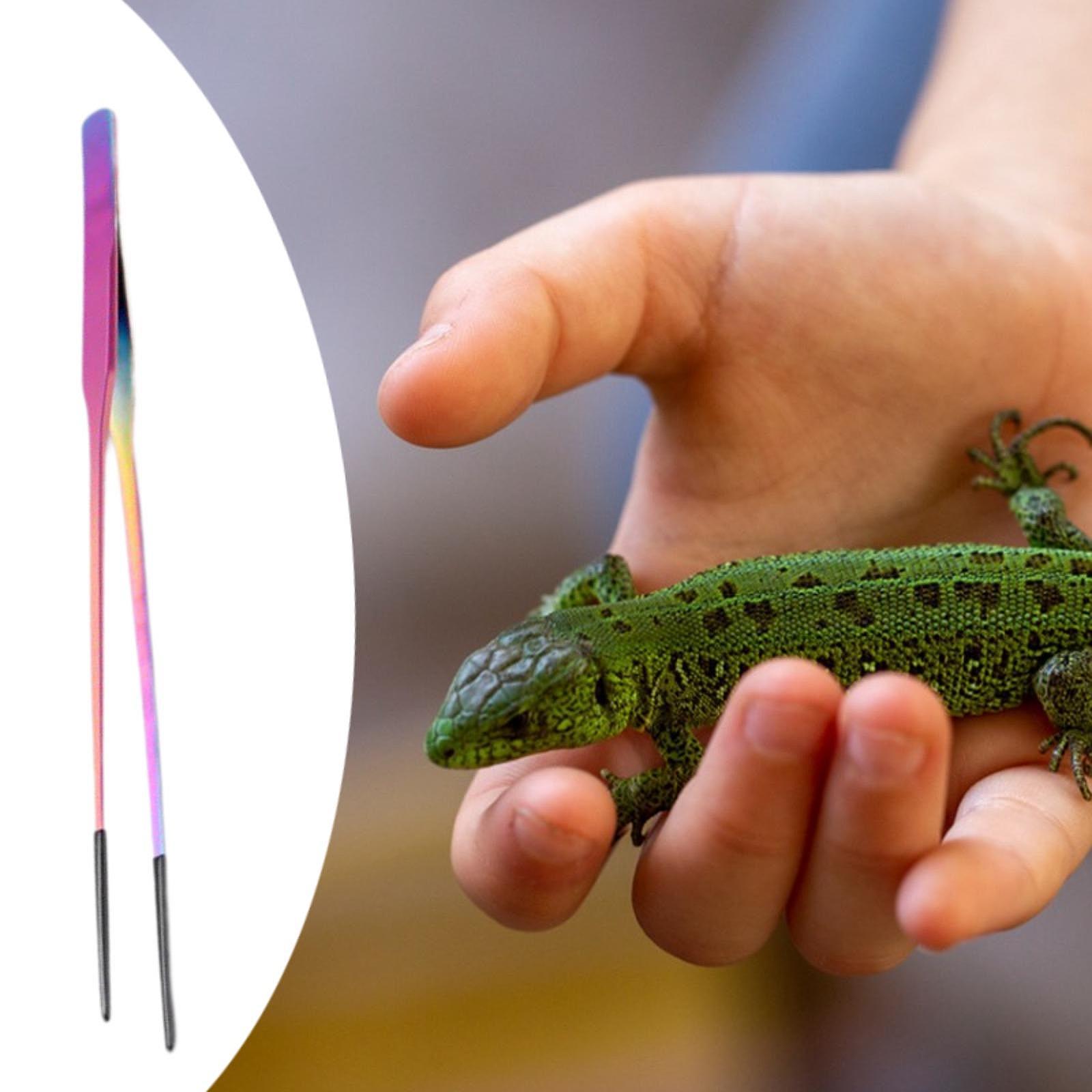 Aquarium Tweezers Reptile Feed - Feeding Tong Stainless recensione e prezzo