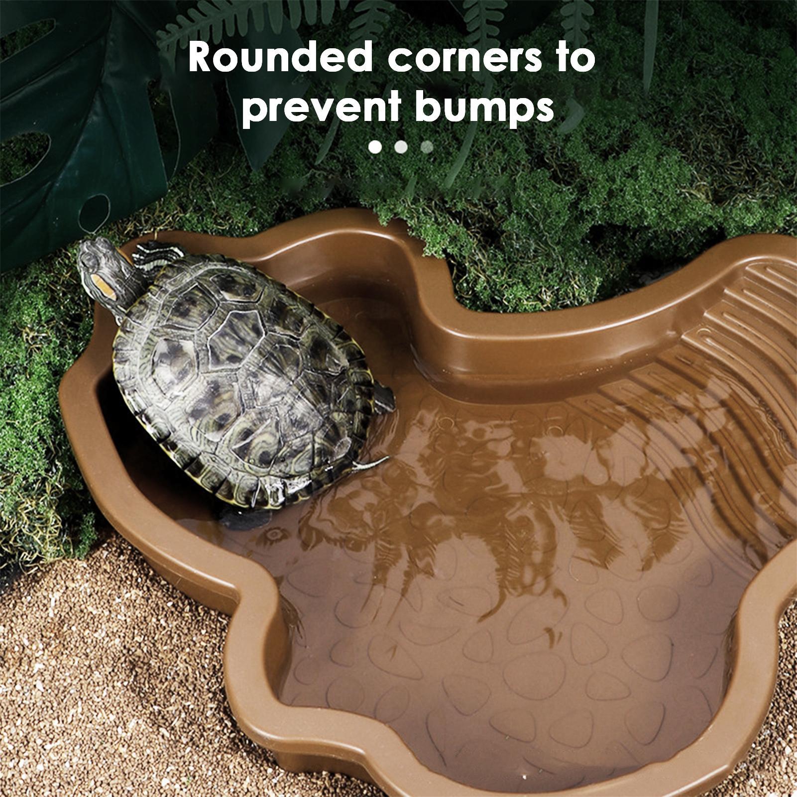 Reptile Bathing Pool with Ramp - Water Dish Reptile recensione e prezzo