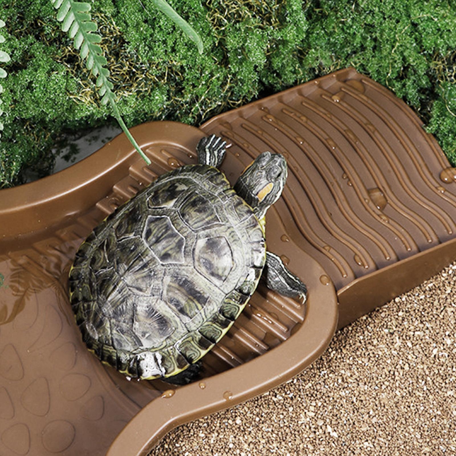 Reptile Bathing Pool with Ramp - Water Dish Reptile recensione e prezzo