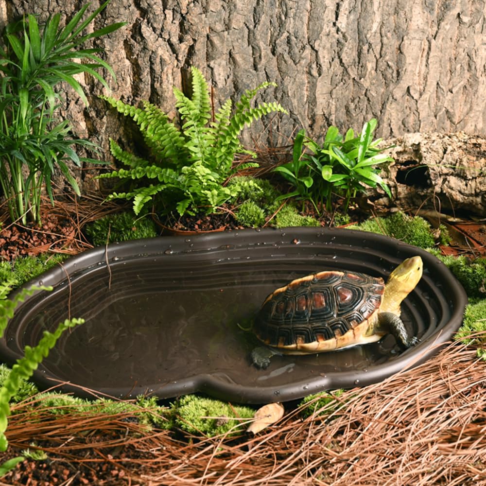 Reptile Bathing Dish Amphibian - Water Dish Reptile recensione e prezzo
