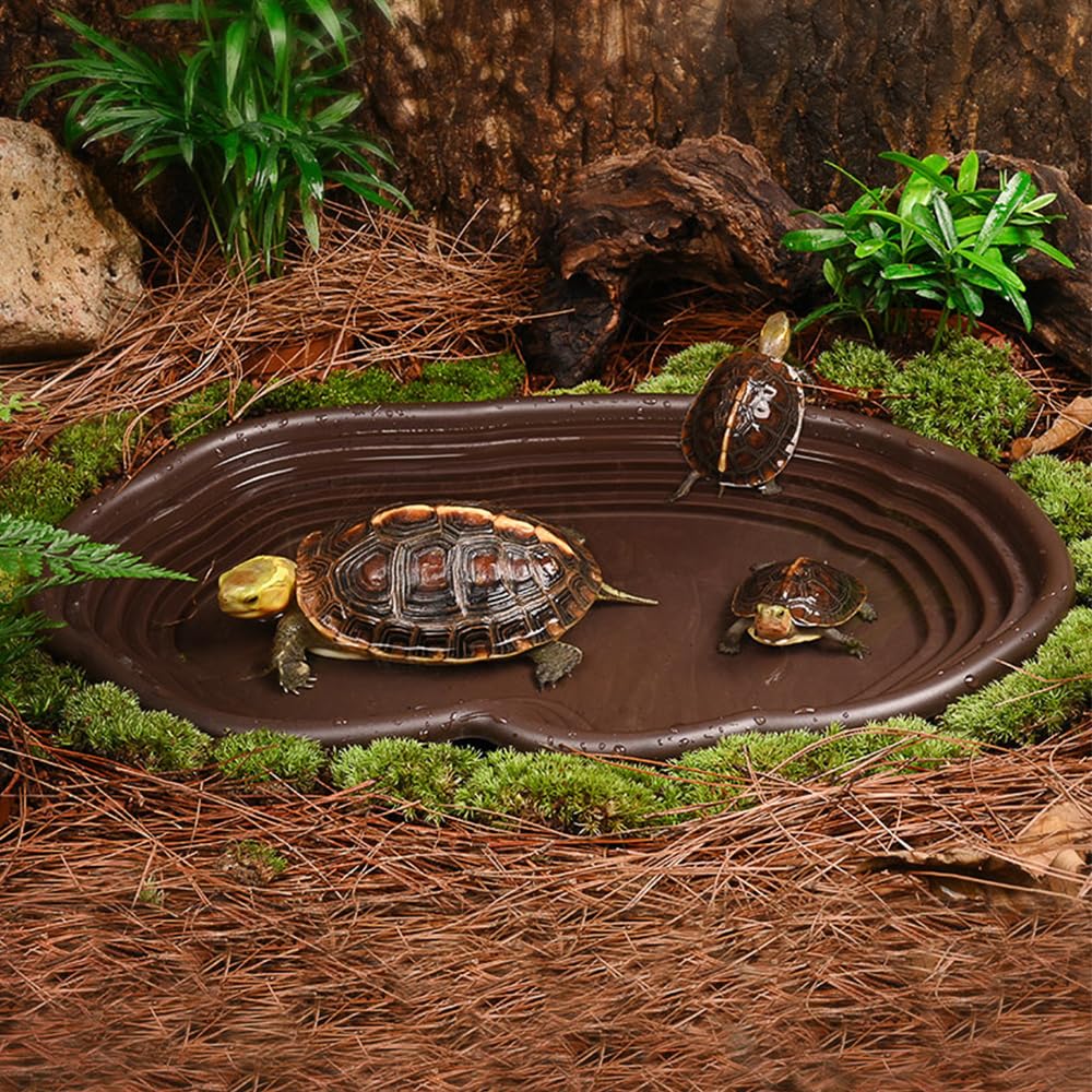 Reptile Bathing Dish Amphibian - Water Dish Reptile recensione e prezzo