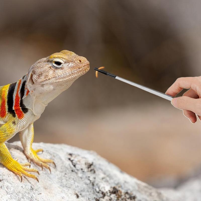 Extra Long Reptile Feeding Ton - Feeding Tong Stainless recensione e prezzo