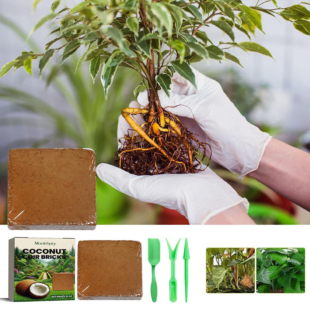 Coconut Coir Fiber Brick - Org - Substrate Coconut Fiber recensione e prezzo