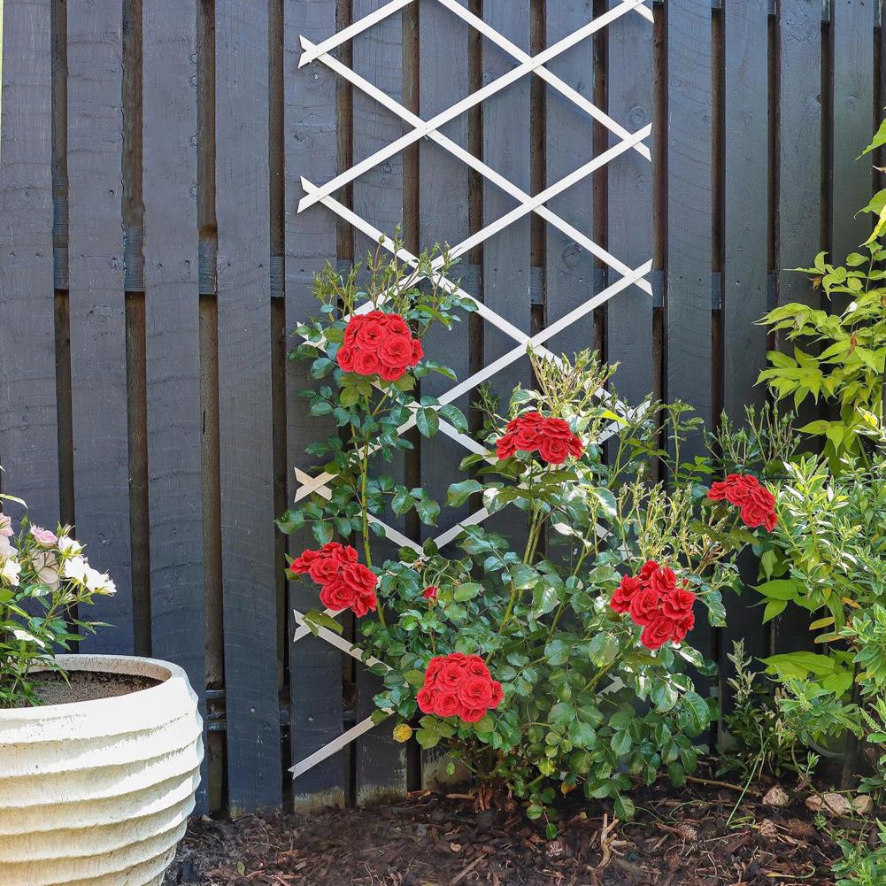 Expandable Garden Trellis 70 x - Vine Climbing Plastic recensione e prezzo
