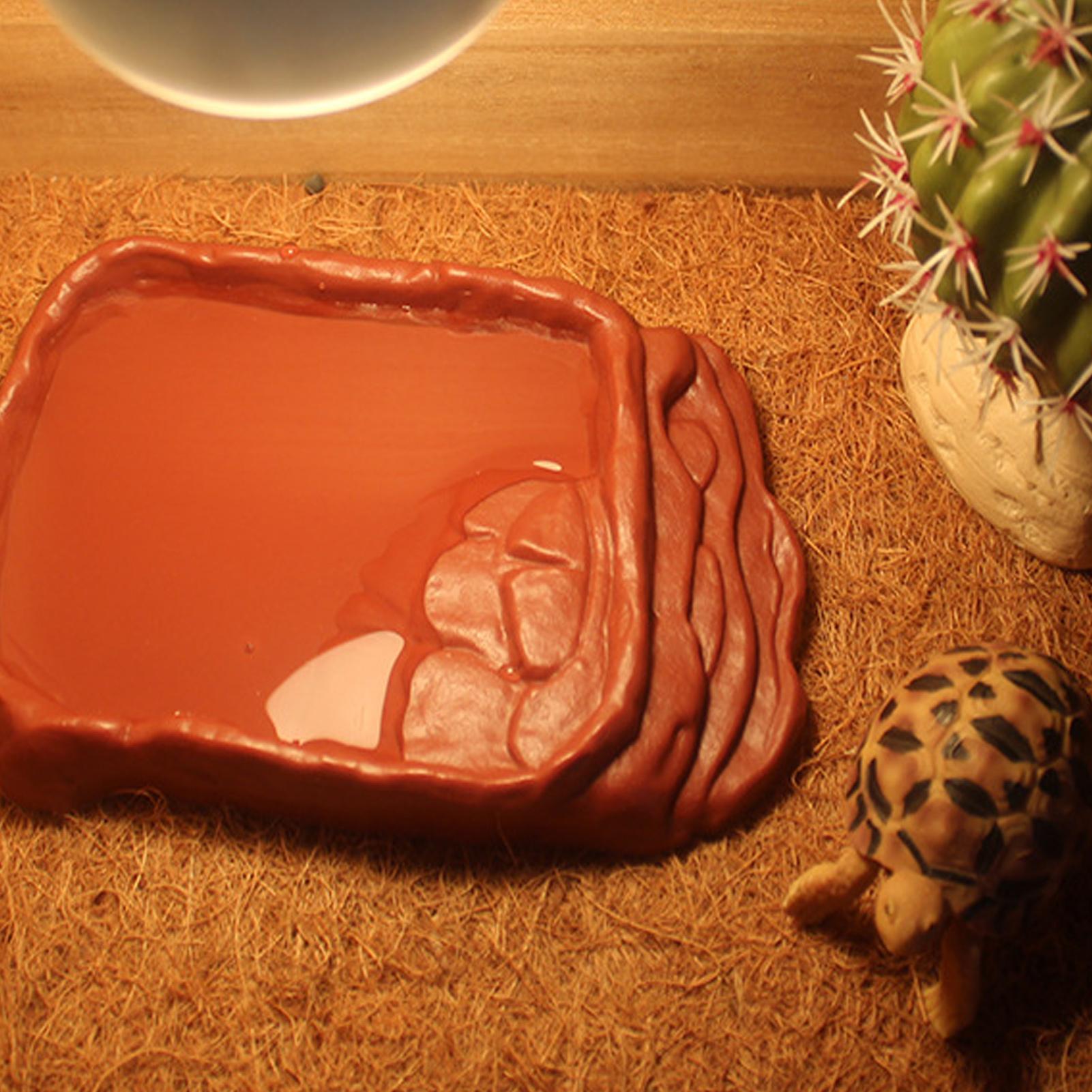 Turtle Water Dish With Anti-Sl - Water Dish Reptile recensione e prezzo