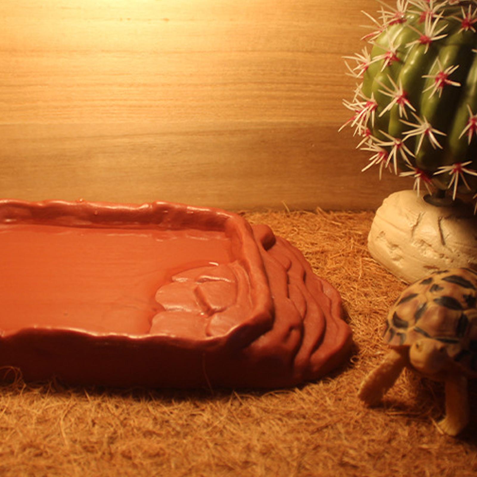 Turtle Water Dish With Anti-Sl - Water Dish Reptile recensione e prezzo