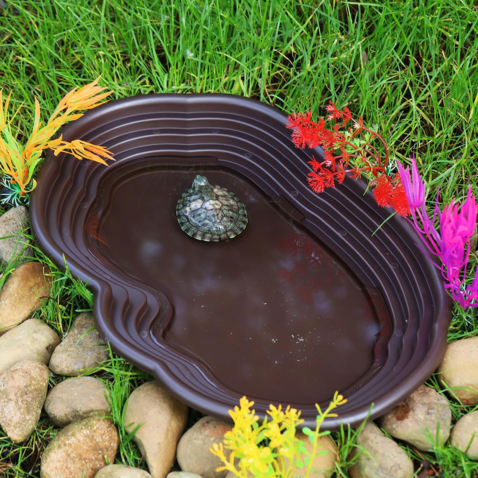 Reptile Bathing Dish Tortoise  - Water Dish Reptile recensione e prezzo