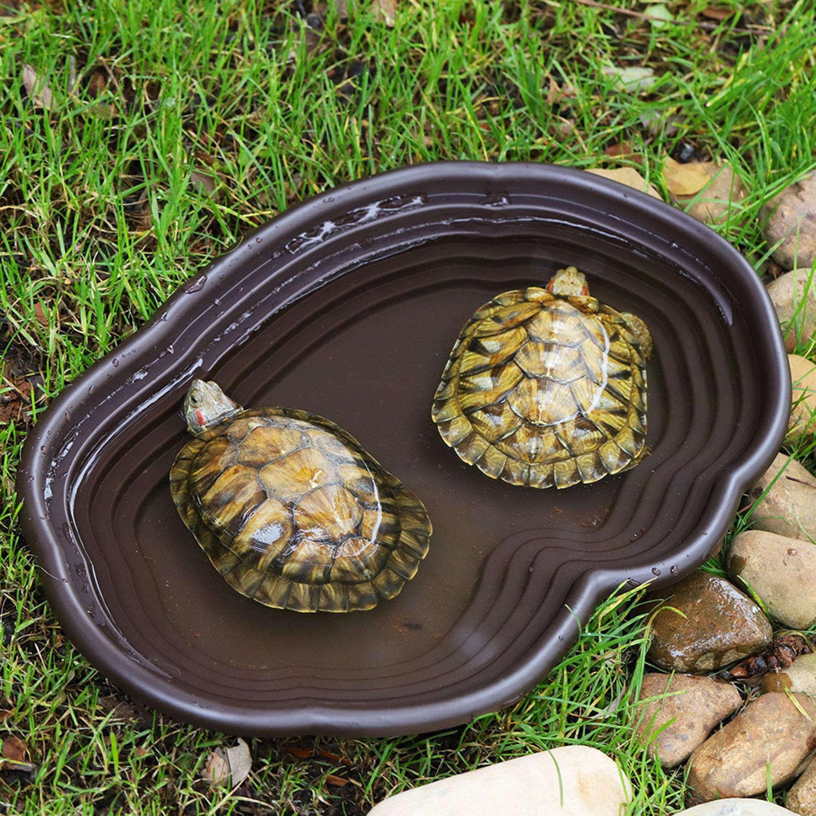 Reptile Bathing Dish Tortoise  - Water Dish Reptile recensione e prezzo
