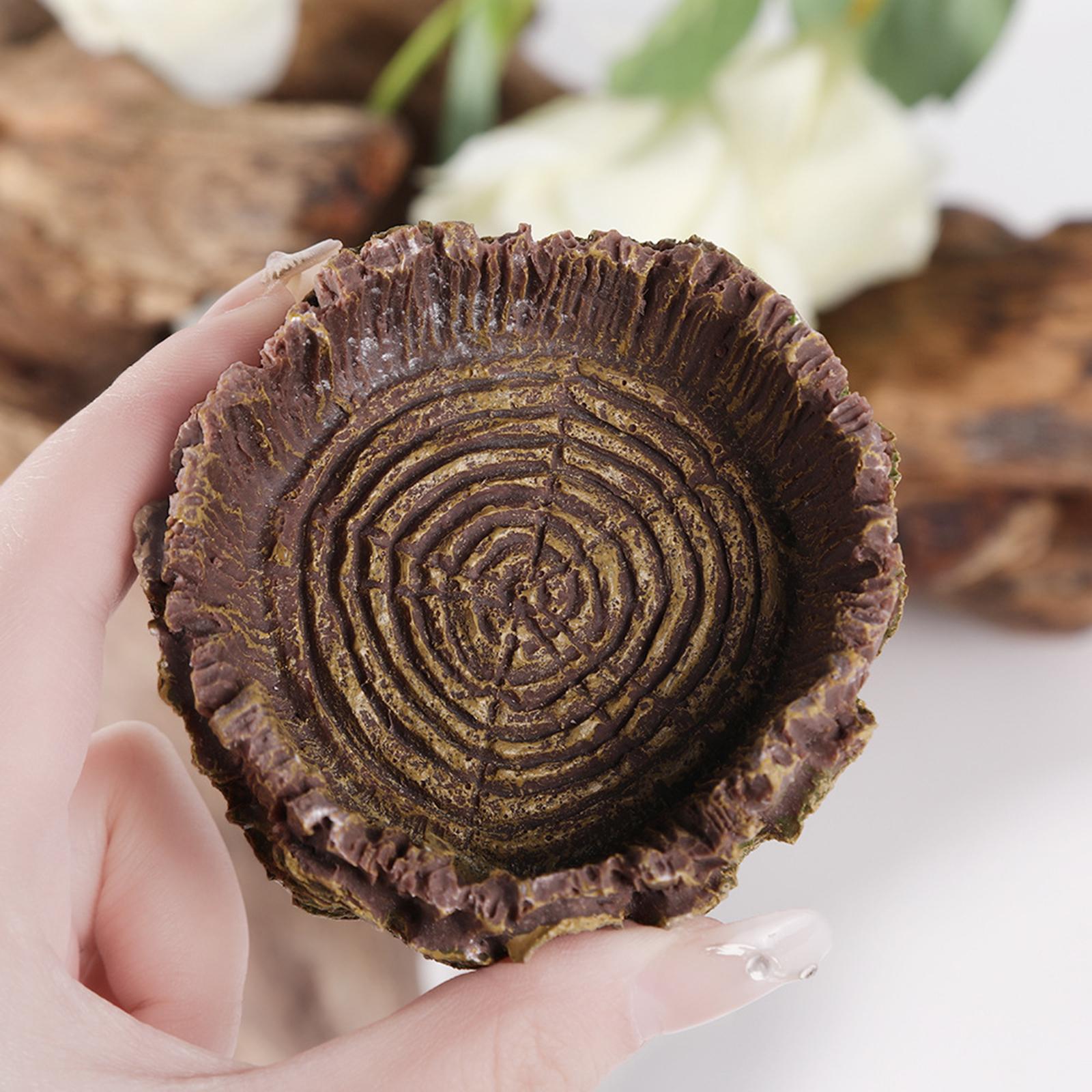 Reptile Bathing Dish Tortoise  - Water Dish Reptile recensione e prezzo