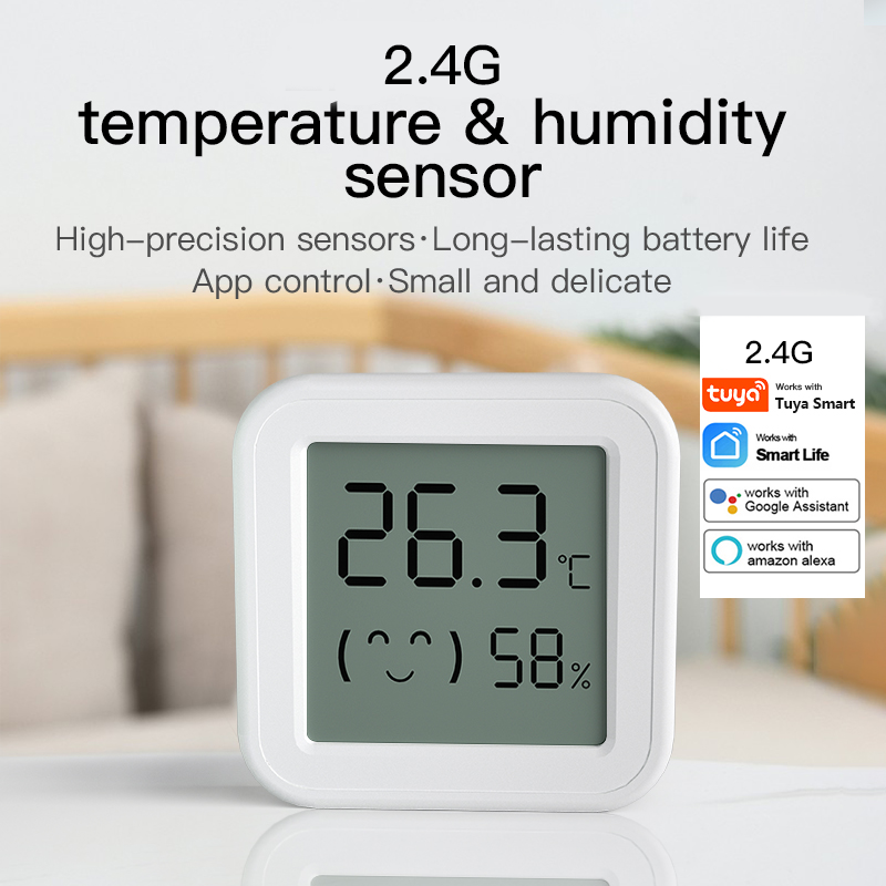 Bluetooth Temperature Humidity - Digital Hygrometer Probe recensione e prezzo