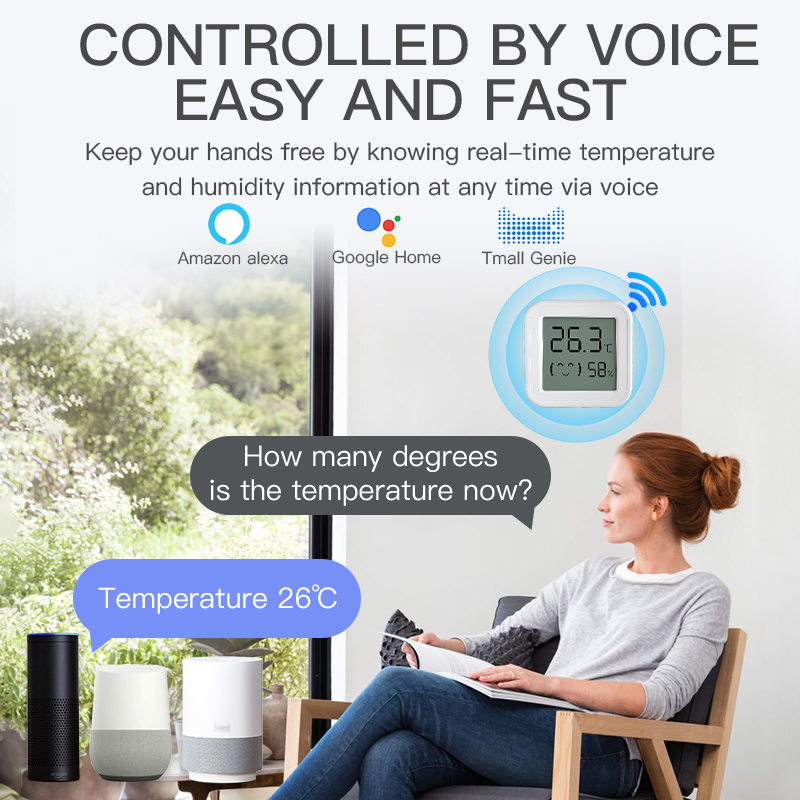 Bluetooth Temperature Humidity - Digital Hygrometer Probe recensione e prezzo