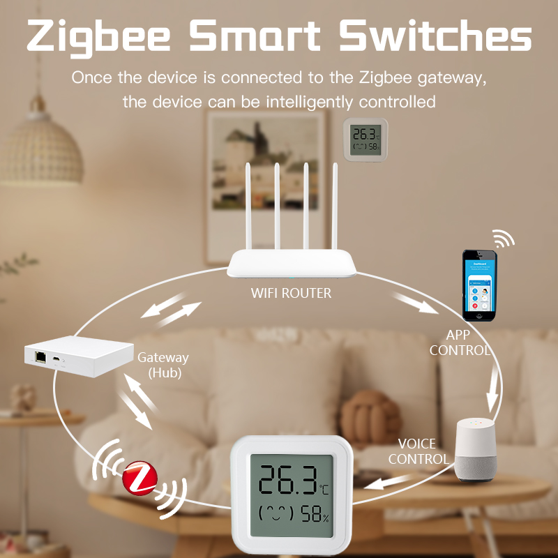 Bluetooth Temperature Humidity - Digital Hygrometer Probe recensione e prezzo