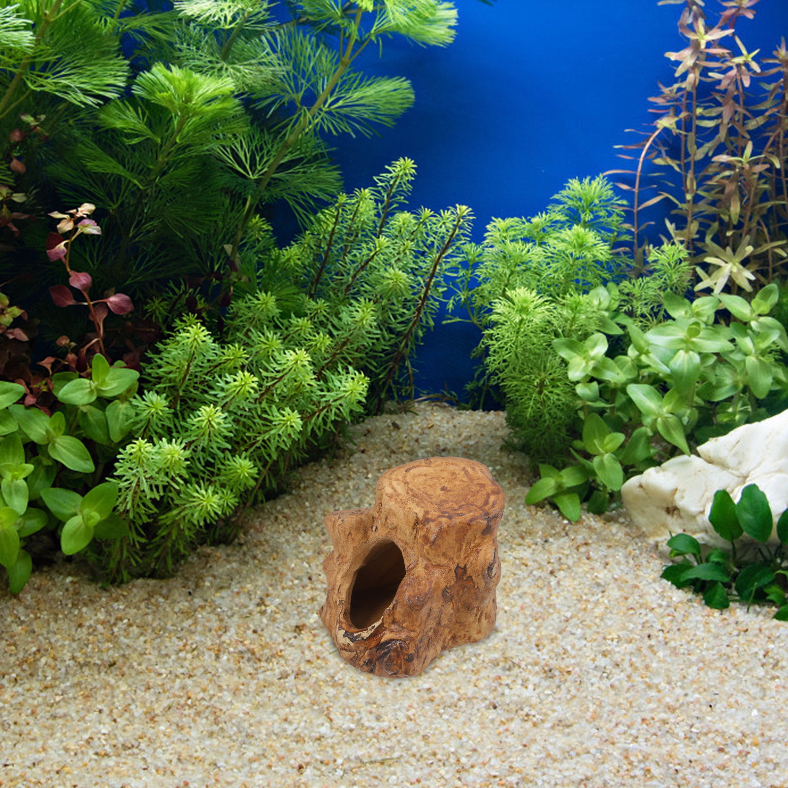 Pleco Caves for Aquarium Fish  - Hide Cave Ceramic recensione e prezzo
