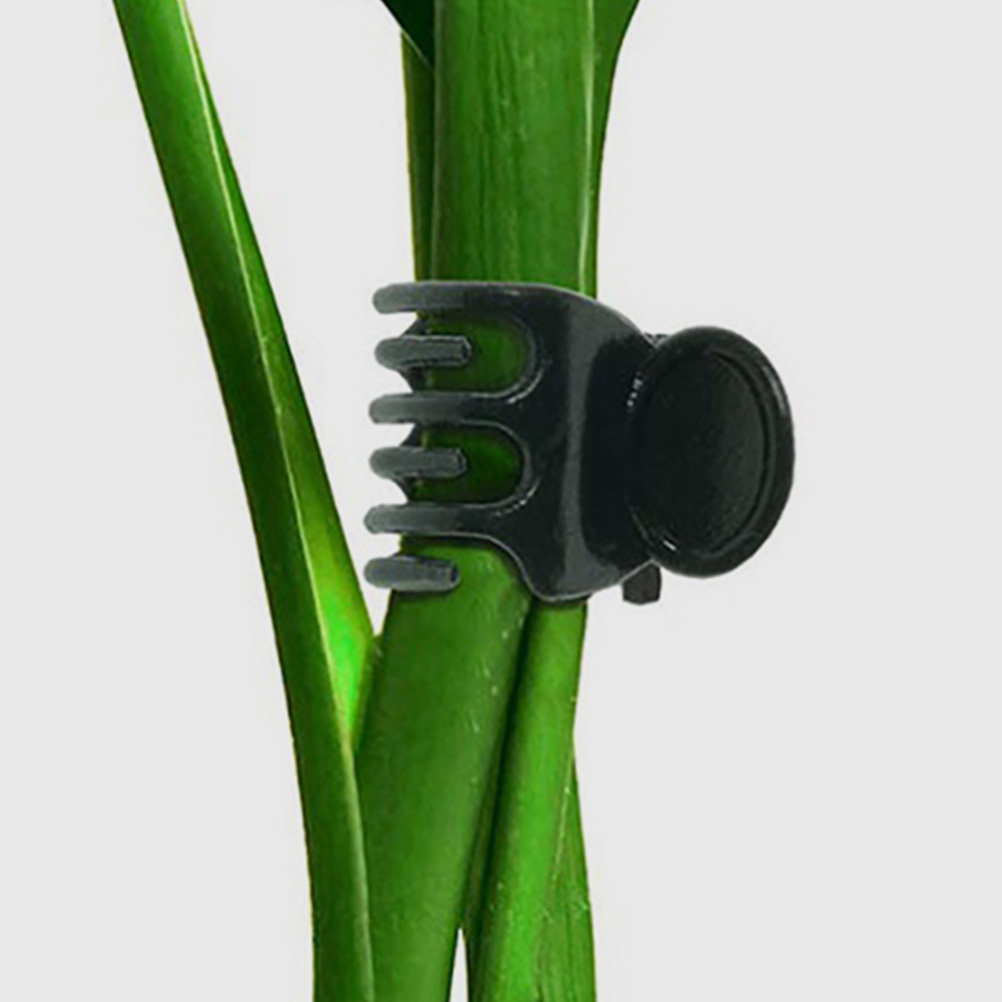60Pcs Plant Support Clamps Pla - Vine Climbing Plastic recensione e prezzo