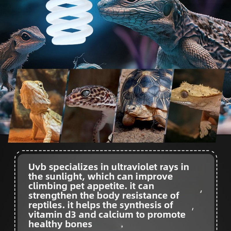 NOMOY 26W UVB Reptile Light Ca - Vitamin D3 Reptile recensione e prezzo