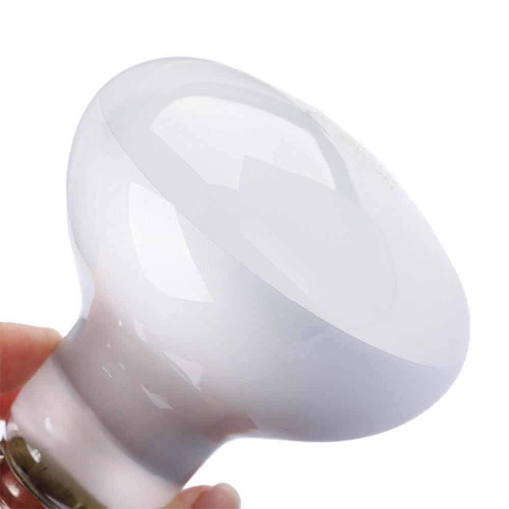 Amphibians Heater Heat Lamp UV - Basking Bulb Halogen recensione e prezzo