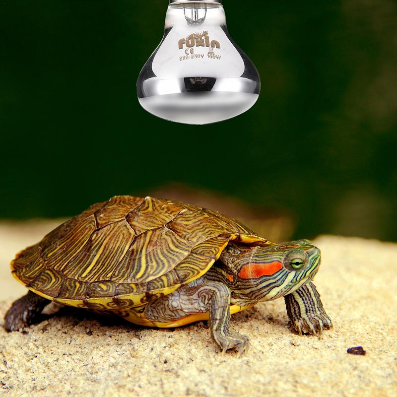 Pet Heating Lamp E27 Day Night - Ceramic Heat Emitter recensione e prezzo