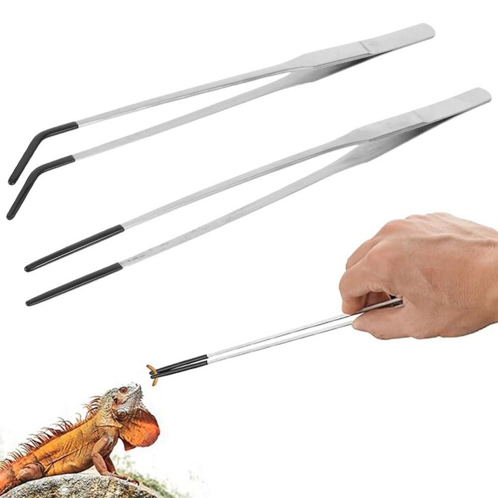 2Pcs Stainless Steel Aquarium  - Feeding Tong Stainless recensione e prezzo