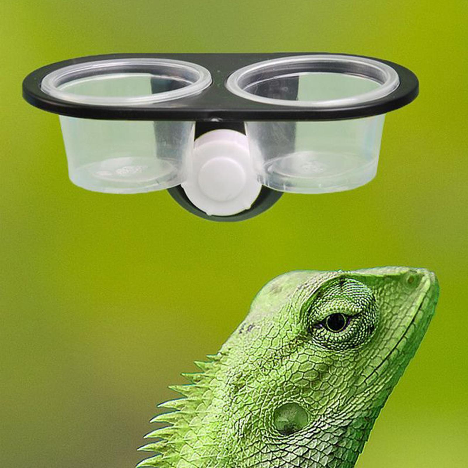 Gecko Food Dish Gecko Feeding  - Water Dish Reptile recensione e prezzo