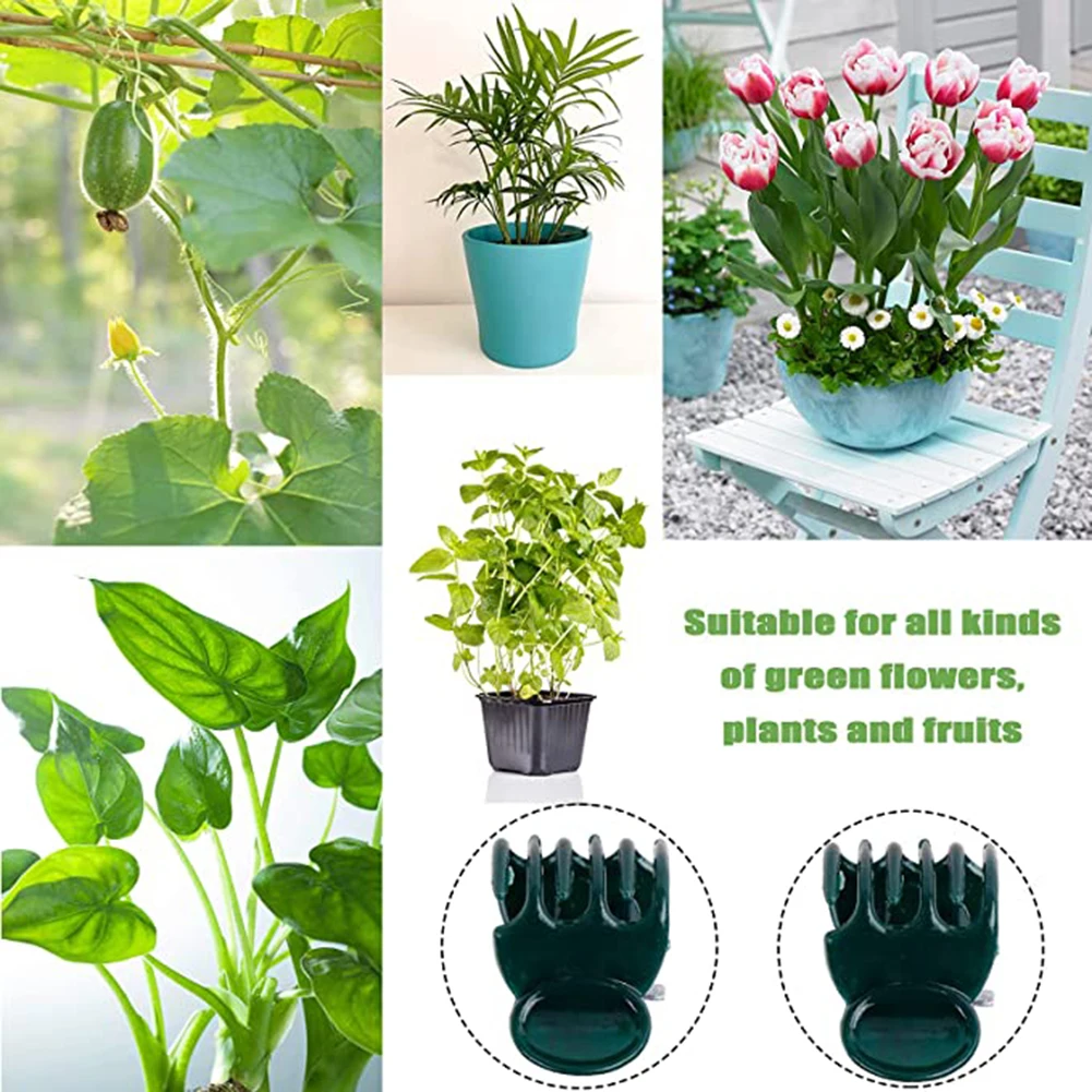 Phalaenopsis Orchid Support Cl - Vine Climbing Plastic recensione e prezzo