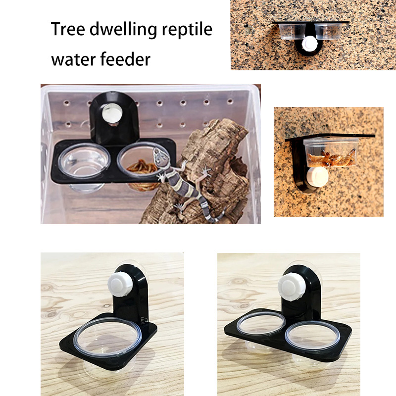 Reptile Tank Accessories Insec - Water Dish Reptile recensione e prezzo